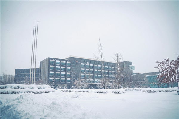 1636436215556785.jpg 2.jpg