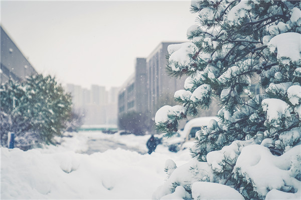 1636436235227255.jpg 7.1.jpg